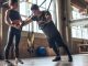 Fitness Antrenörleri İçin Girişimcilik Fırsatları Fitness sektörü son yıllarda yalnızca spor salonlarıyla sınırlı kalan bir alan olmaktan çıkarak geniş bir hizmet ekosistemine dönüşmeye başladı. İnsanların sağlıklı yaşam, fiziksel görünüm ve kişisel gelişim konularına daha fazla önem vermesiyle birlikte fitness antrenörleri için yeni kariyer ve yatırım fırsatları ortaya çıkıyor. Geleneksel salon çalışmalarının yanında dijital platformlar, kişisel programlar ve özel danışmanlık hizmetleri, sektörde girişimcilik anlayışını güçlendiriyor. Konulu bir haber görseli.