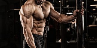 Fitness sektörü, teknolojik gelişmelerin etkisiyle son yıllarda büyük bir dönüşüm sürecinden geçiyor. Geleneksel spor anlayışının yerini daha kişisel, ölçülebilir ve verimli antrenman deneyimleri alırken, inovatif fitness teknolojileri sektörde yeni standartlar oluşturuyor. Spor salonlarından bireysel antrenman uygulamalarına kadar birçok alanda kullanılan yeni nesil çözümler, kullanıcıların hedeflerine daha bilinçli şekilde ulaşmasına yardımcı oluyor. Konulu bir haber görseli.