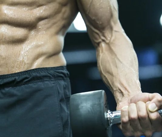 Fitness sektöründe büyüyen yatırım hacmi, spor salonu açmak isteyen girişimcilerin ekipman seçimine daha fazla önem vermesine neden oluyor. Başarılı bir salon yatırımı için yalnızca geniş bir alan veya modern bir dekorasyon yeterli olmuyor. Kullanıcı beklentilerini karşılayan, dayanıklı ve verimli çalışan fitness ekipmanları, işletmenin uzun vadeli başarısında önemli rol oynuyor. Konulu bir haber görseli.